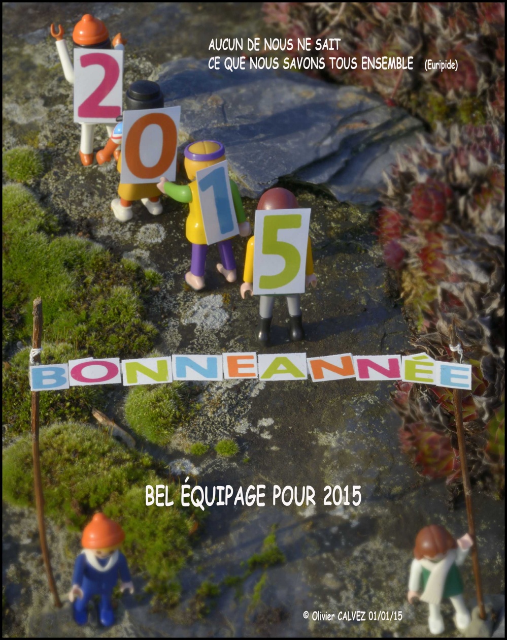 Carte bonne année 2015