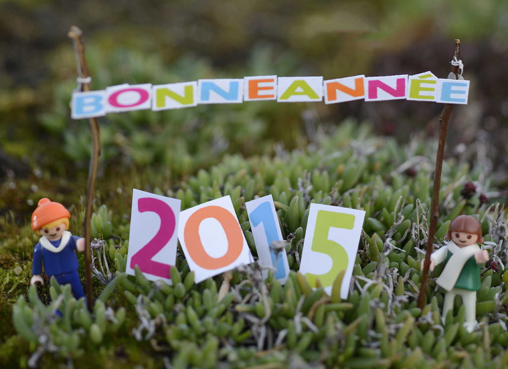 bonne année 2015